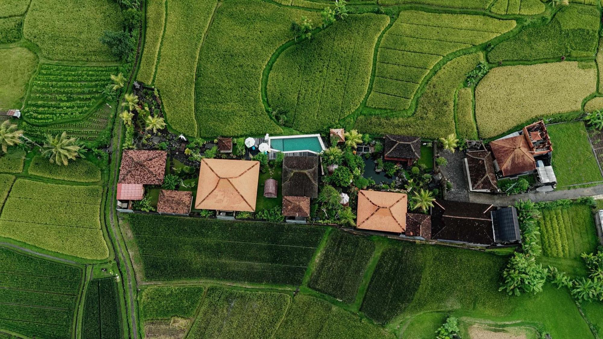 Billys Ayodya Villa Perean Exteriér fotografie